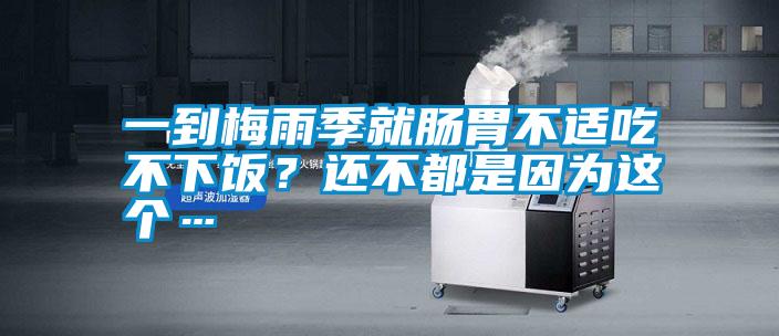一到梅雨季就腸胃不適吃不下飯？還不都是因為這個…
