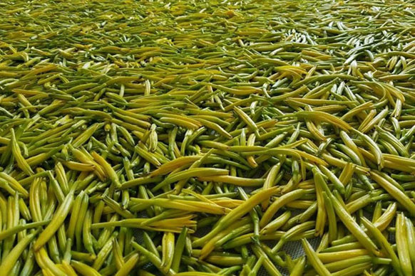 無硫金針菜烘干如何保持品相？不發(fā)黑？