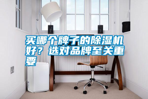 買哪個牌子的除濕機好？選對品牌至關重要