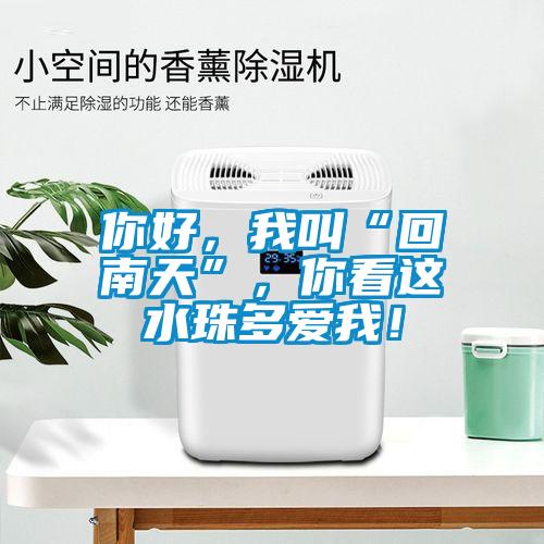 你好，我叫“回南天”，你看這水珠多愛(ài)我！