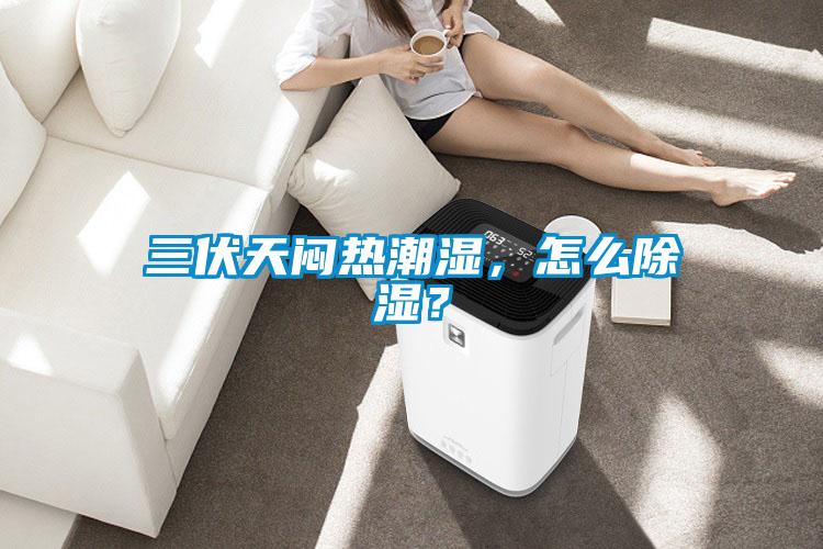 三伏天悶熱潮濕，怎么除濕？