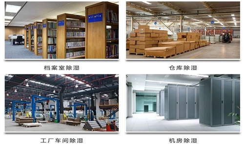 為什么竹筍烘干房需要除濕機(jī)？