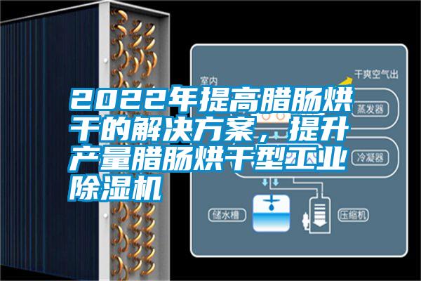 2022年提高臘腸烘干的解決方案，提升產(chǎn)量臘腸烘干型工業(yè)除濕機(jī)