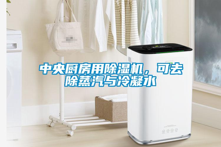 中央廚房用除濕機(jī)，可去除蒸汽與冷凝水