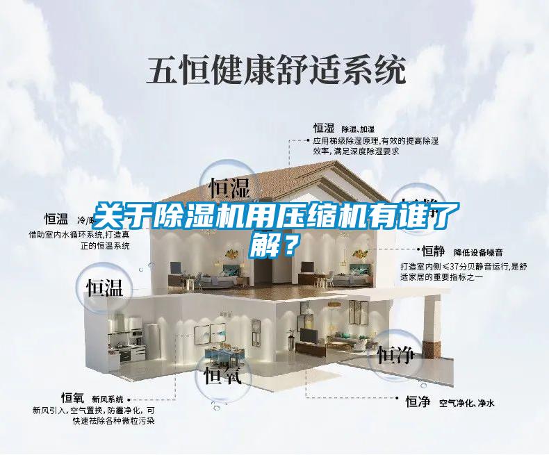 關(guān)于除濕機(jī)用壓縮機(jī)有誰了解？