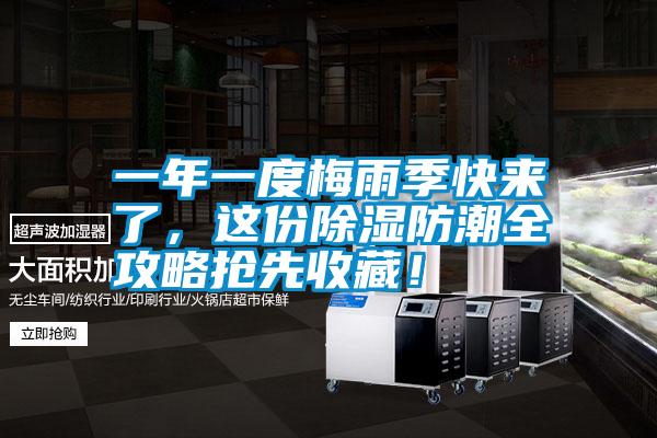 一年一度梅雨季快來了，這份除濕防潮全攻略搶先收藏！