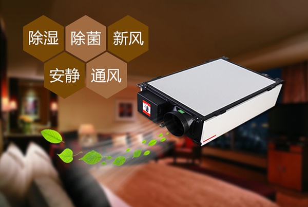 如何預(yù)防辦公室裝修后的防潮問題？