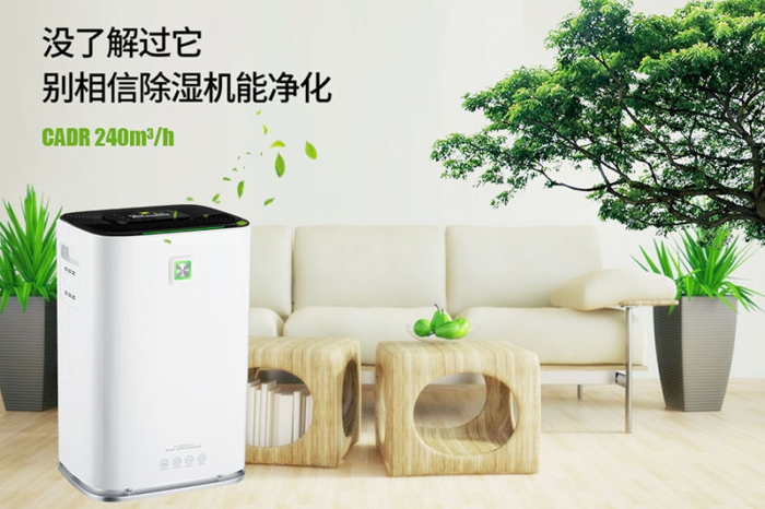 一到回南天狗狗就感冒+皮膚病，怎么辦？