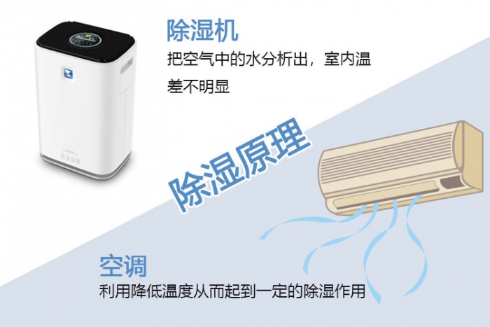使用除濕機對于哮喘有什么幫助？