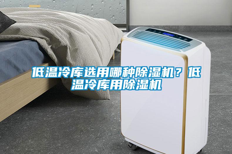 低溫冷庫選用哪種除濕機？低溫冷庫用除濕機