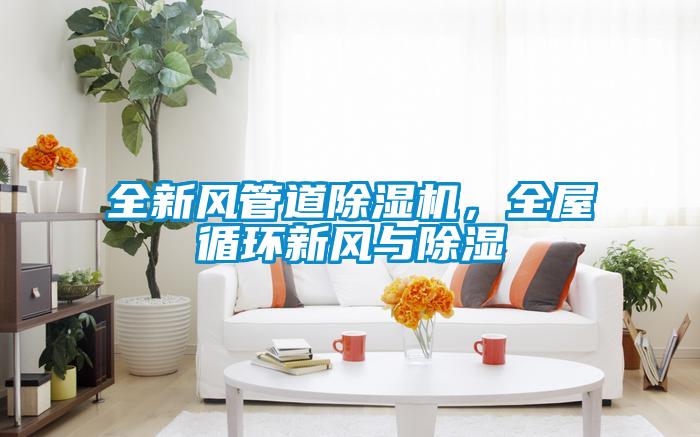 全新風(fēng)管道除濕機(jī)，全屋循環(huán)新風(fēng)與除濕