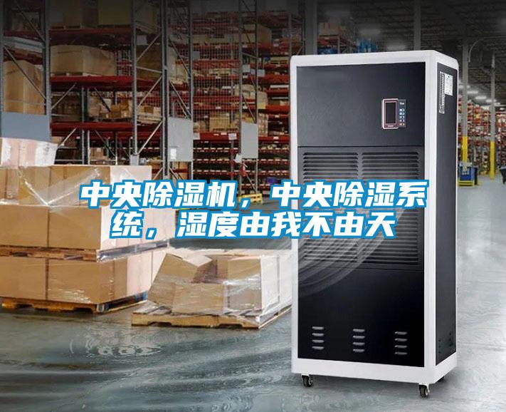 中央除濕機(jī)，中央除濕系統(tǒng)，濕度由我不由天