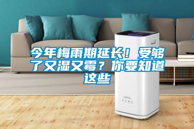 今年梅雨期延長！受夠了又濕又霉？你要知道這些