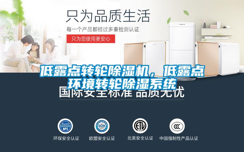 低露點(diǎn)轉(zhuǎn)輪除濕機(jī)，低露點(diǎn)環(huán)境轉(zhuǎn)輪除濕系統(tǒng)