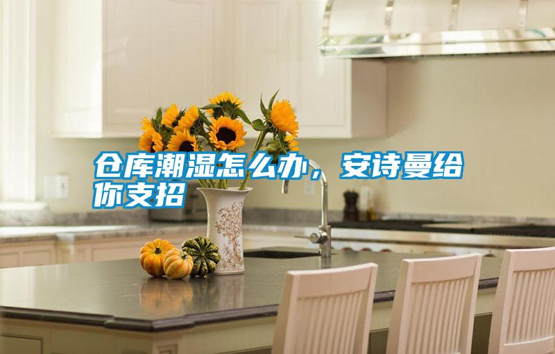 倉庫潮濕怎么辦，安詩曼給你支招