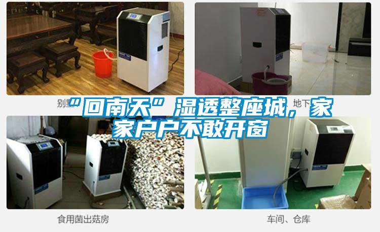 “回南天”濕透整座城，家家戶戶不敢開窗
