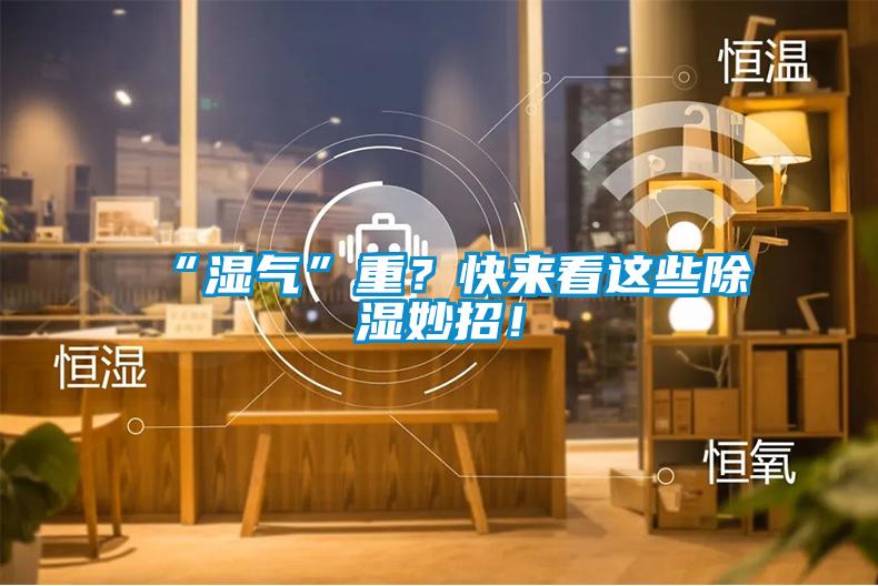 “濕氣”重？快來看這些除濕妙招！