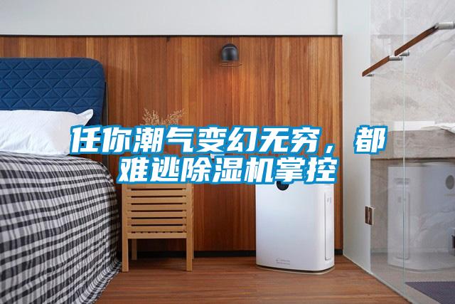 任你潮氣變幻無(wú)窮，都難逃除濕機(jī)掌控