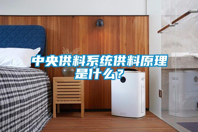 中央供料系統(tǒng)供料原理是什么？