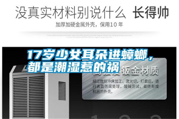 17歲少女耳朵進蟑螂，都是潮濕惹的禍