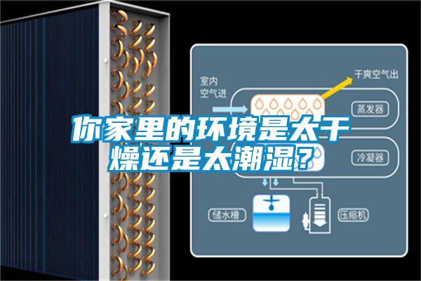 你家里的環(huán)境是太干燥還是太潮濕？