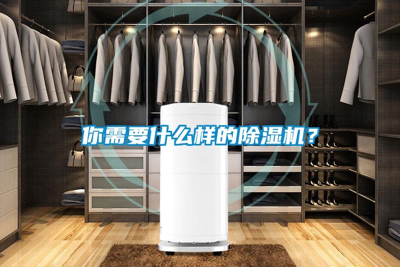你需要什么樣的除濕機？