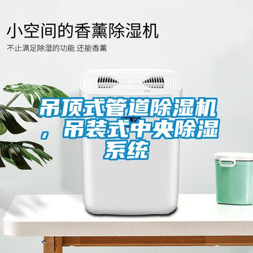 吊頂式管道除濕機(jī)，吊裝式中央除濕系統(tǒng)