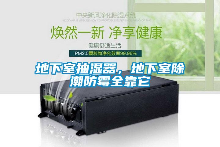 地下室抽濕器，地下室除潮防霉全靠它