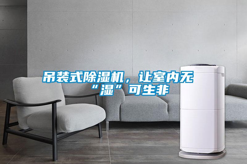 吊裝式除濕機(jī)，讓室內(nèi)無“濕”可生非