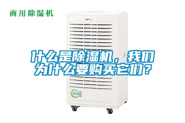什么是除濕機(jī)，我們?yōu)槭裁匆?gòu)買它們？