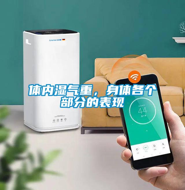 體內(nèi)濕氣重，身體各個(gè)部分的表現(xiàn)