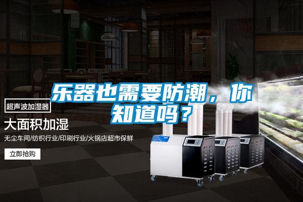 樂器也需要防潮，你知道嗎？