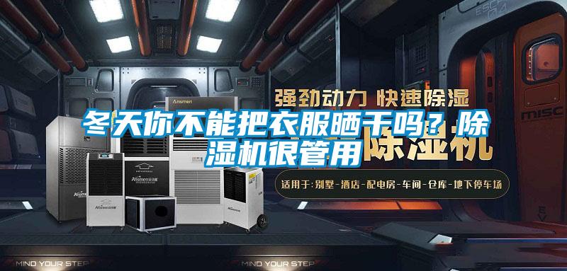 冬天你不能把衣服曬干嗎？除濕機很管用