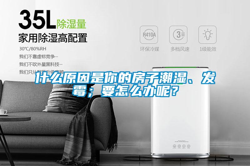 什么原因是你的房子潮濕、發(fā)霉；要怎么辦呢？