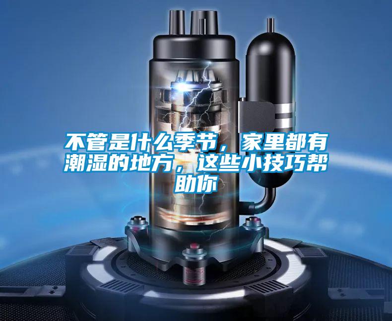不管是什么季節(jié)，家里都有潮濕的地方，這些小技巧幫助你