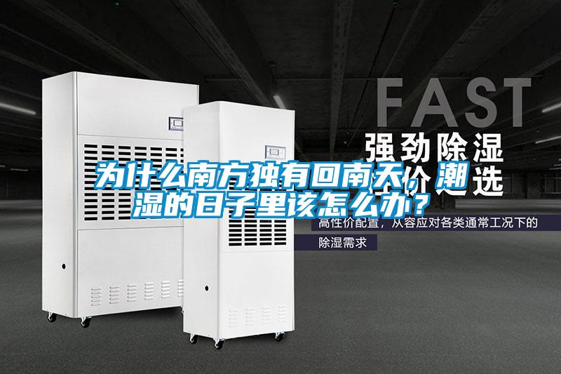 為什么南方獨(dú)有回南天，潮濕的日子里該怎么辦？