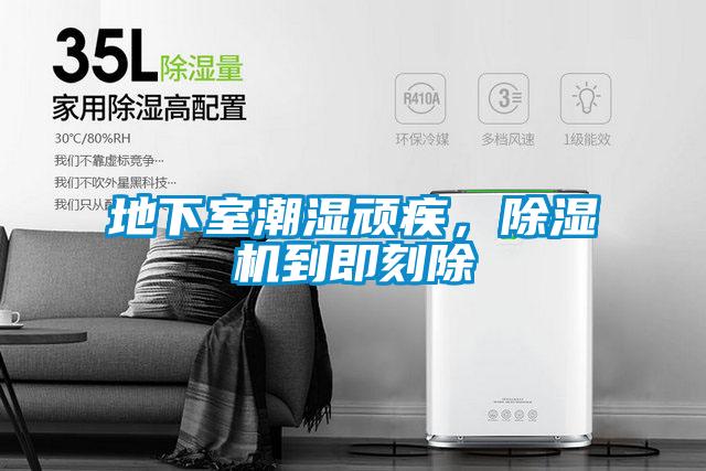 地下室潮濕頑疾，除濕機到即刻除