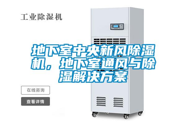 地下室中央新風(fēng)除濕機，地下室通風(fēng)與除濕解決方案