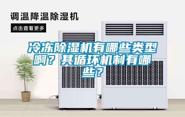 冷凍除濕機(jī)有哪些類型?。科溲h(huán)機(jī)制有哪些？