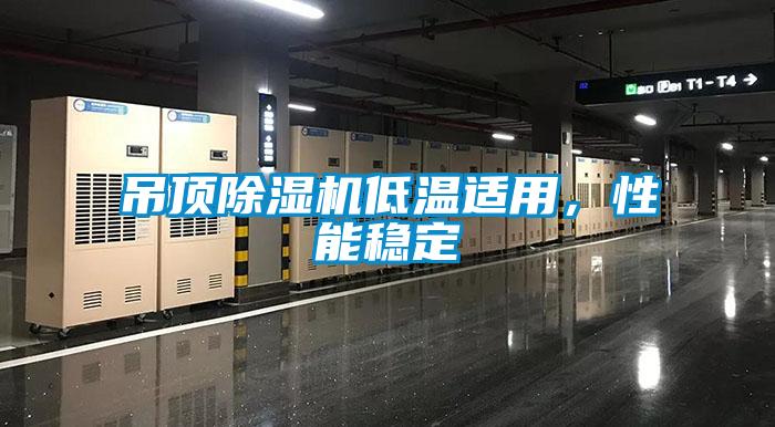 吊頂除濕機(jī)低溫適用，性能穩(wěn)定
