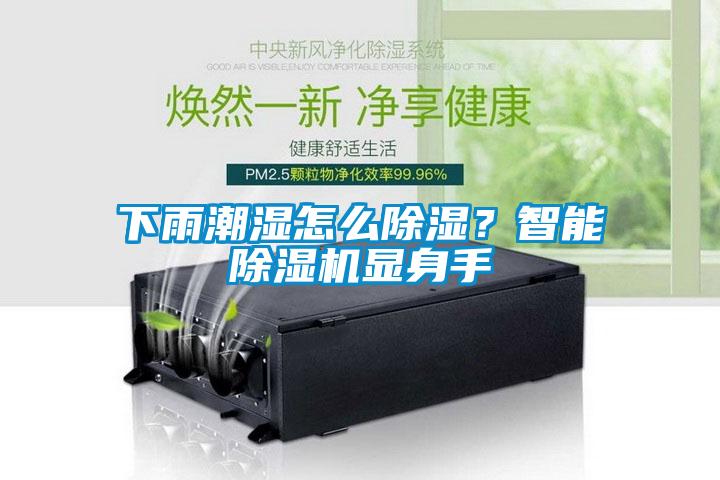 下雨潮濕怎么除濕？智能除濕機顯身手