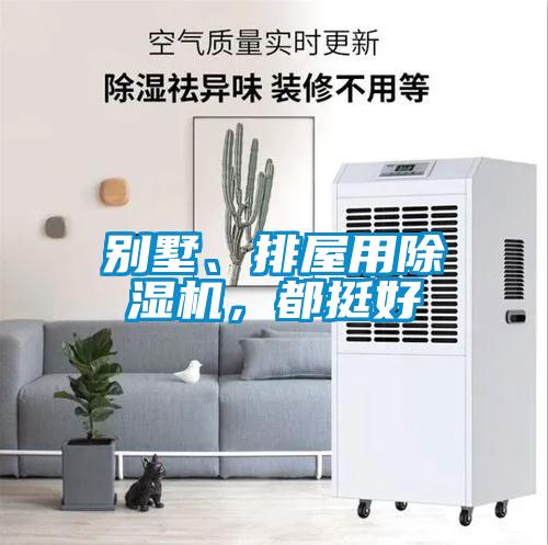 別墅、排屋用除濕機(jī)，都挺好