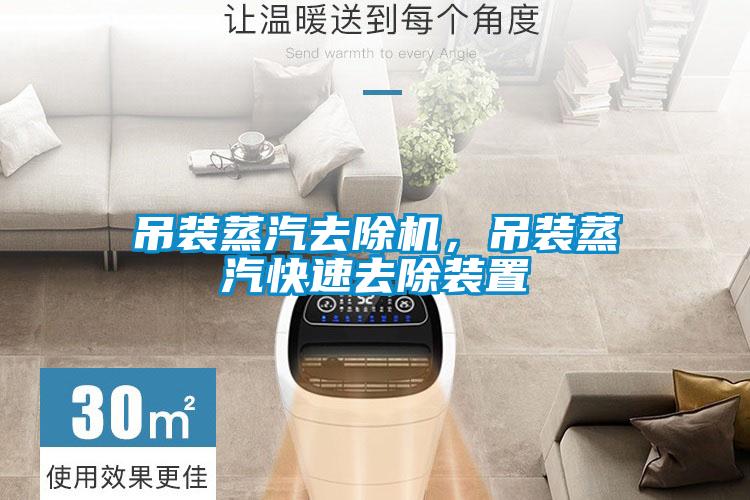 吊裝蒸汽去除機(jī)，吊裝蒸汽快速去除裝置