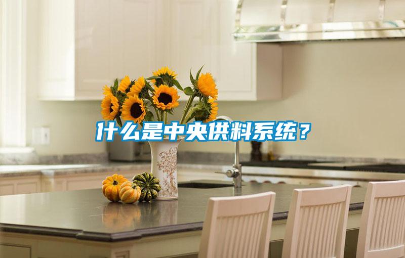 什么是中央供料系統(tǒng)？