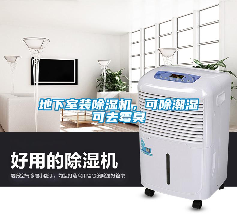 地下室裝除濕機(jī)，可除潮濕可去霉臭