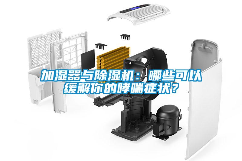 加濕器與除濕機(jī)：哪些可以緩解你的哮喘癥狀？