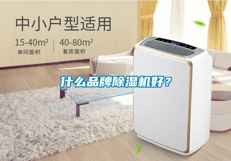 什么品牌除濕機(jī)好？