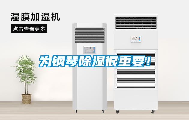 為鋼琴除濕很重要！