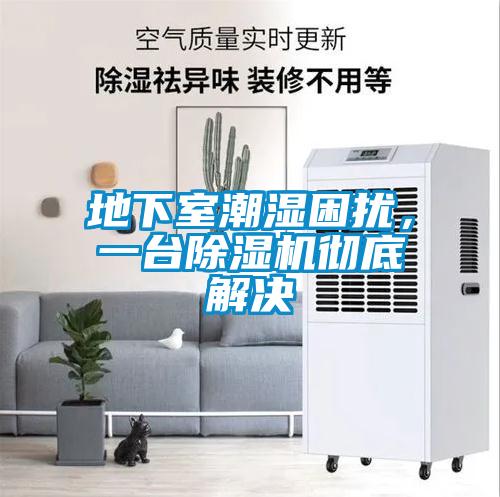 地下室潮濕困擾，一臺除濕機(jī)徹底解決