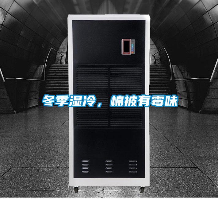 冬季濕冷，棉被有霉味